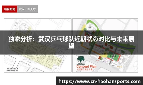 独家分析：武汉乒乓球队近期状态对比与未来展望